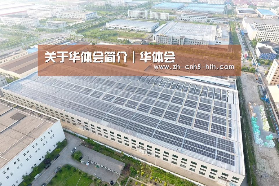 案例展示二
