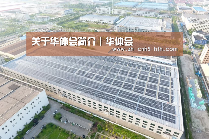 案例展示一
