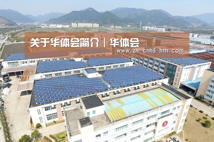 案例展示四