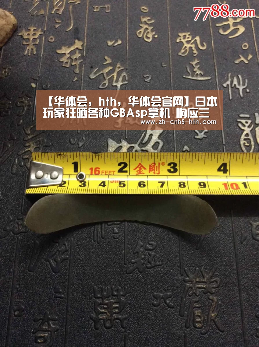 【华体会,hth,华体会官网】日本玩家狂晒各种GBAsp掌机 响应三星新折叠屏手机Galaxy Z Flip(图2) 华体会,hth,华体会官网