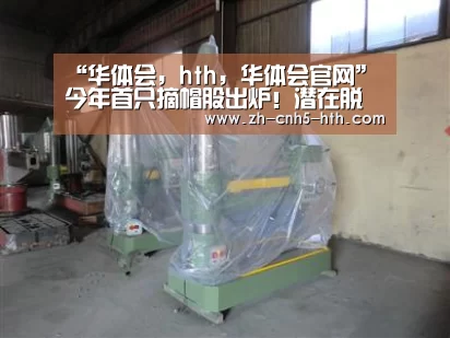 华体会，hth，华体会官网