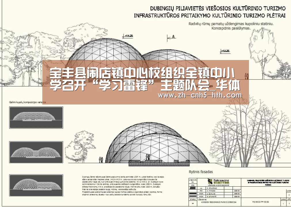 宝丰县闹店镇中心校组织全镇中小学召开“学习雷锋”主题队会_华体会,hth,华体会官网(图1) 华体会,hth,华体会官网