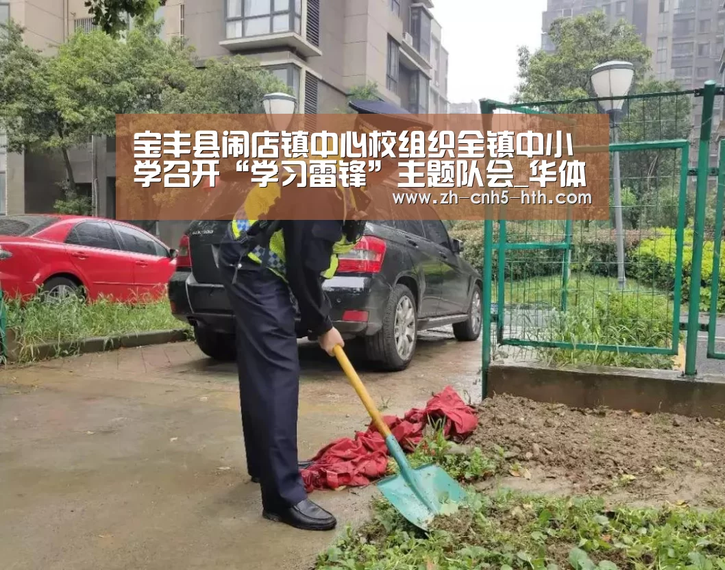 宝丰县闹店镇中心校组织全镇中小学召开“学习雷锋”主题队会_华体会,hth,华体会官网(图2) 华体会,hth,华体会官网