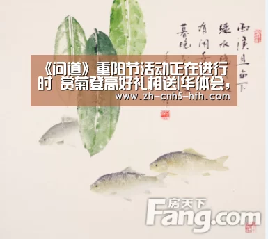 《问道》重阳节活动正在进行时 赏菊登高好礼相送|华体会,hth,华体会官网(图1) 华体会,hth,华体会官网